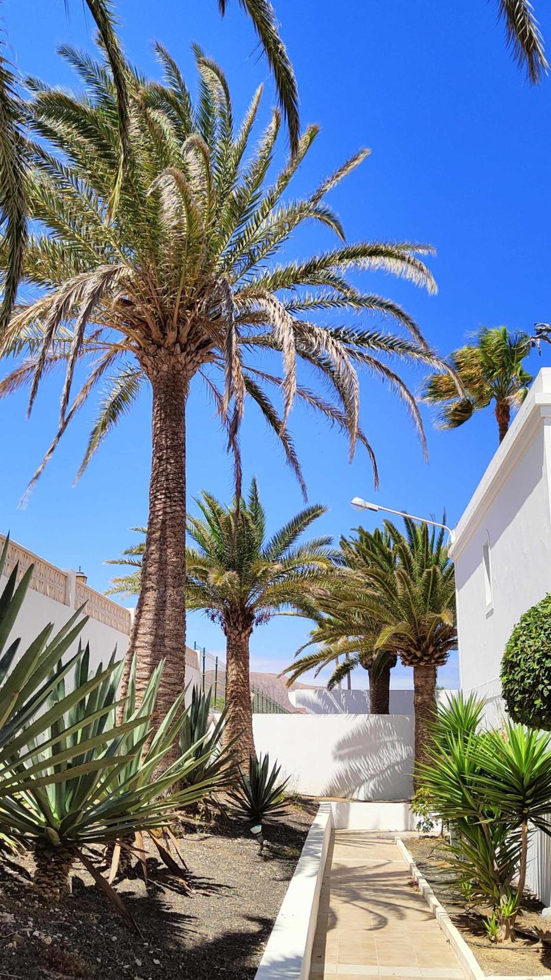 Momis House Corralejo Dunas By Momifuerteventura Exterior photo